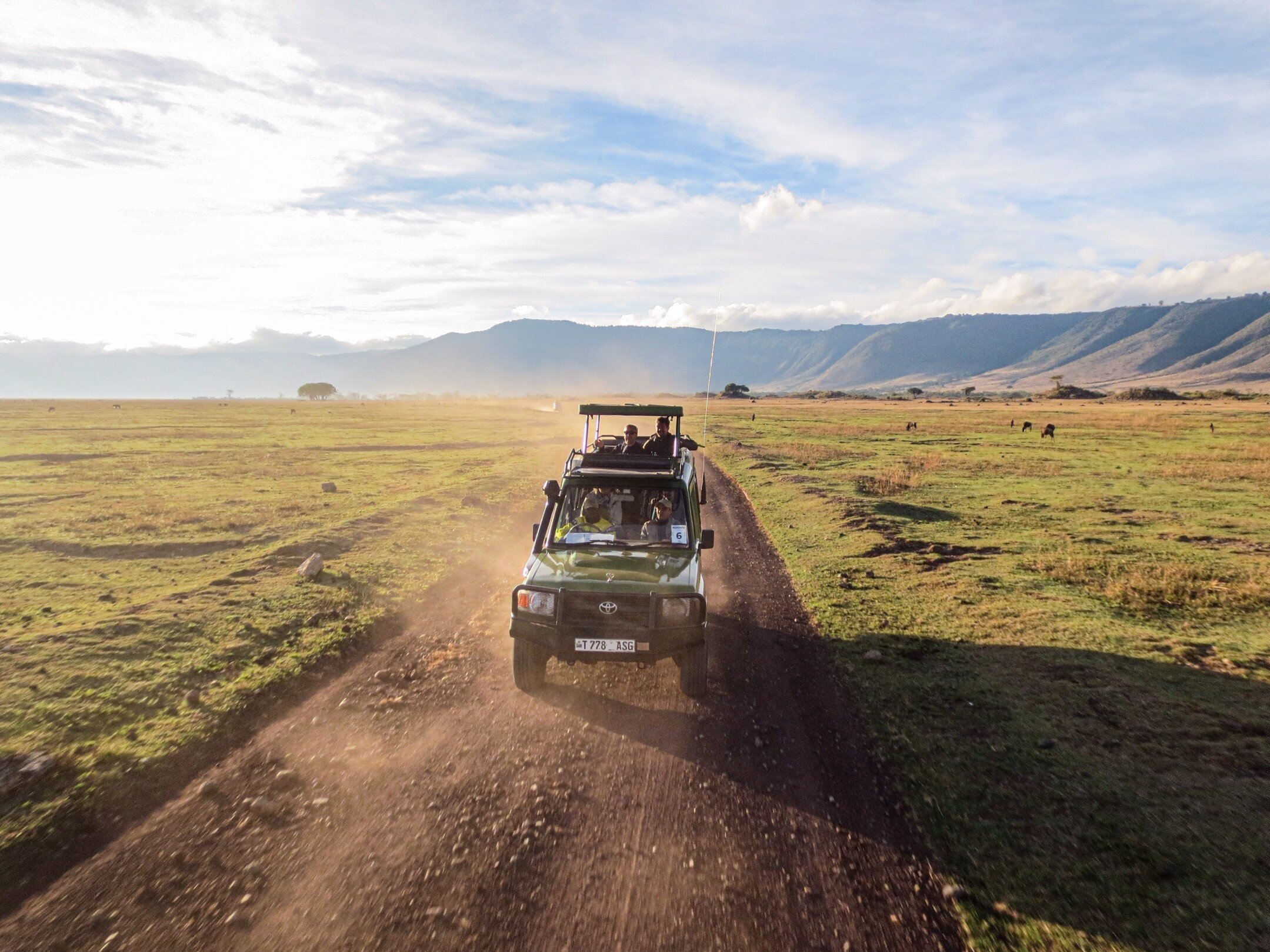 Game drive on the Ngorongoro Crater floor